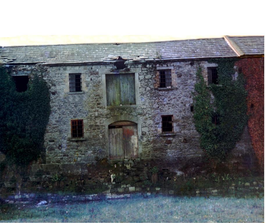 Fort House Bed & Breakfast Kilbeggan Extérieur photo