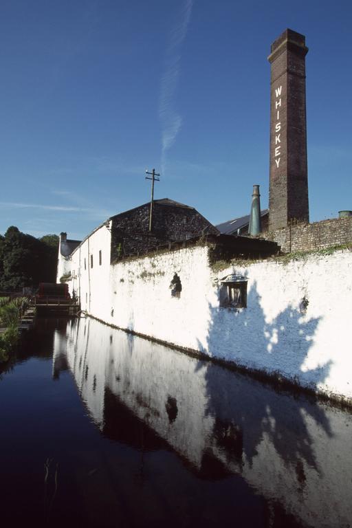 Fort House Bed & Breakfast Kilbeggan Extérieur photo
